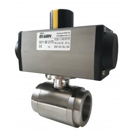 Evian 5010 Ball Valve
