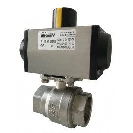 Evian 5113 Ball Valve