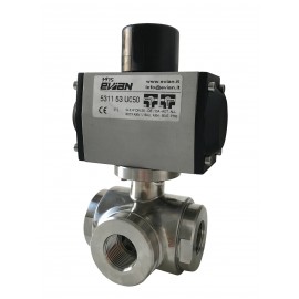 Evian 5310 Ball Valve