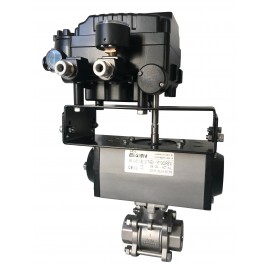 Evian 5514 V Ball Valve
