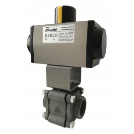 Evian 5516 Ball Valve