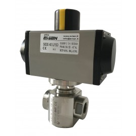 Evian 5630 Ball Valve