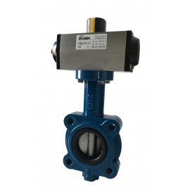 Evian 6490 Butterfly Valve