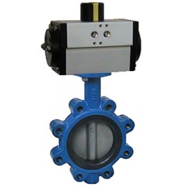 Evian 6390 Butterfly Valve